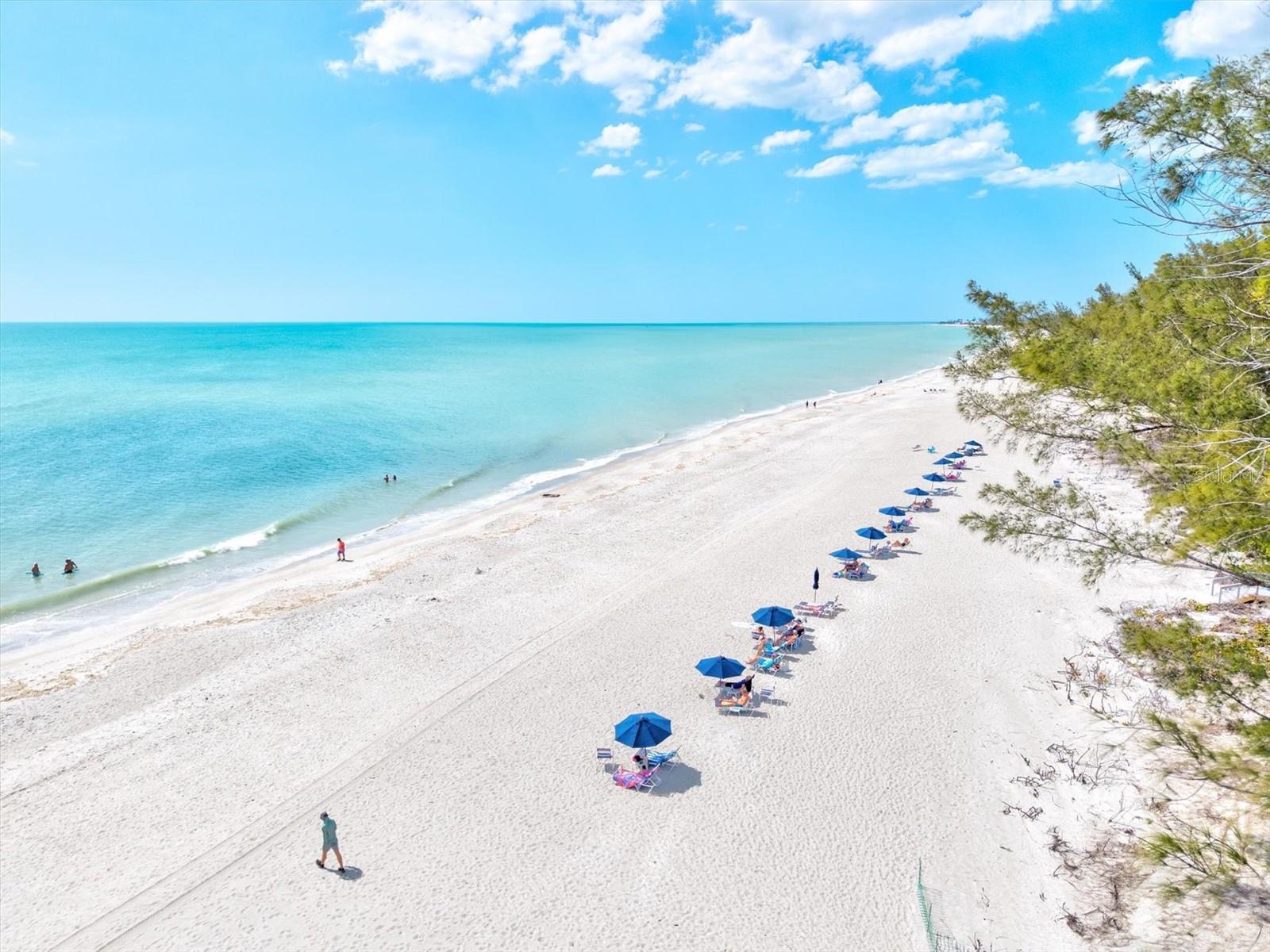 5055 GULF OF MEXICO DRIVE 115