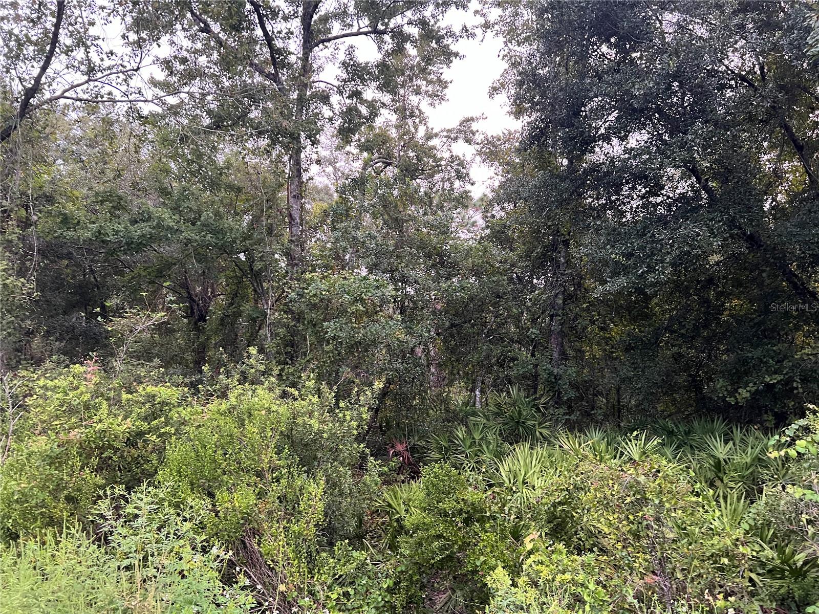 MOON LAKE ESTATES - Land