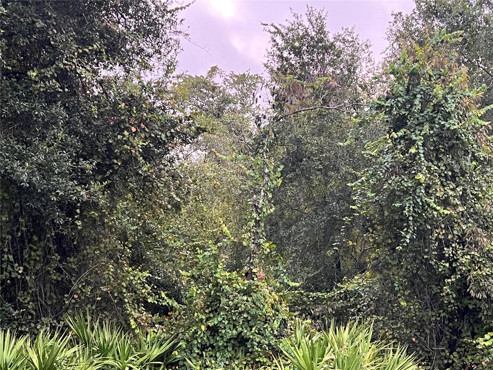 MOON LAKE ESTATES - Land