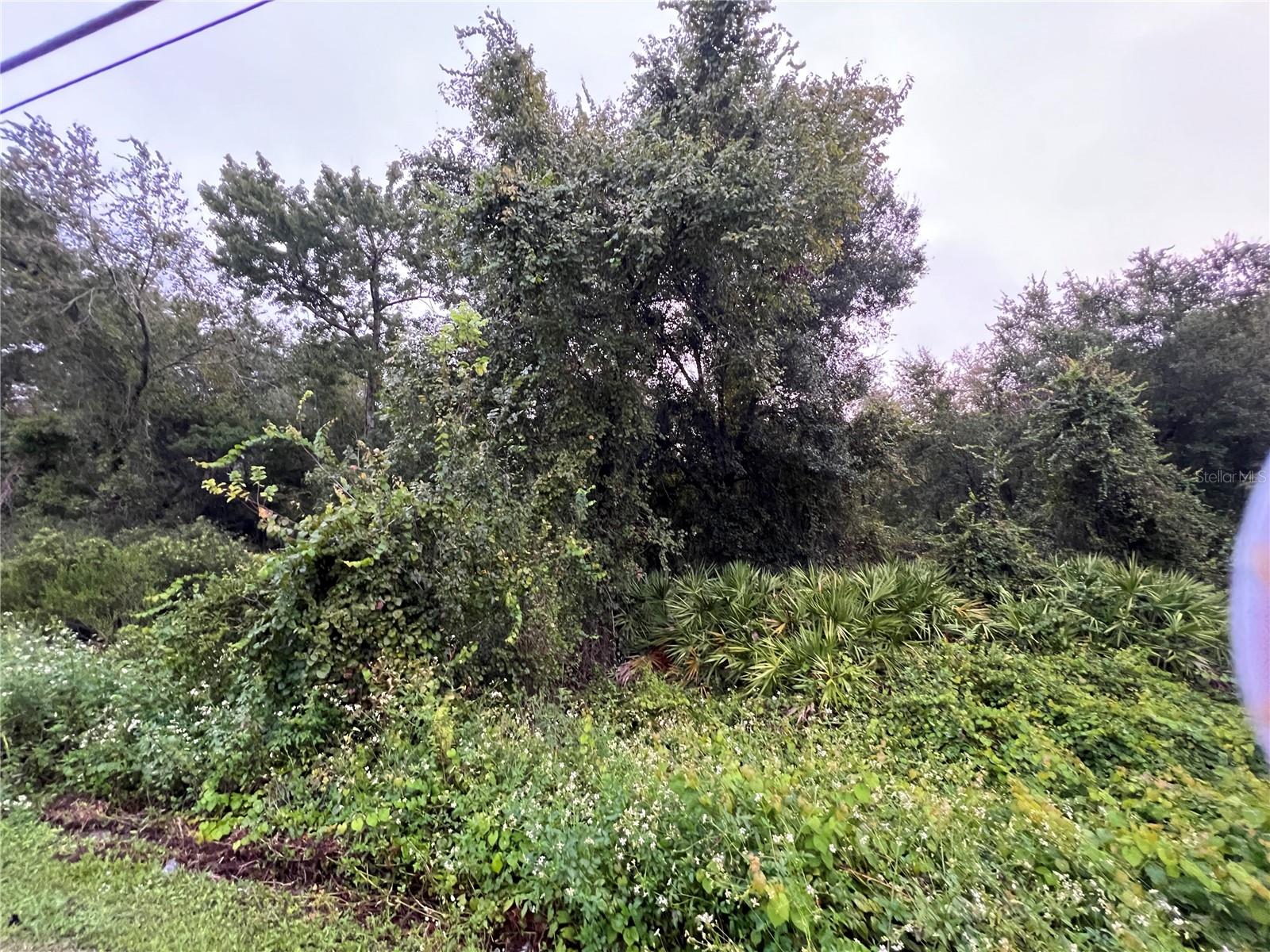 MOON LAKE ESTATES - Land