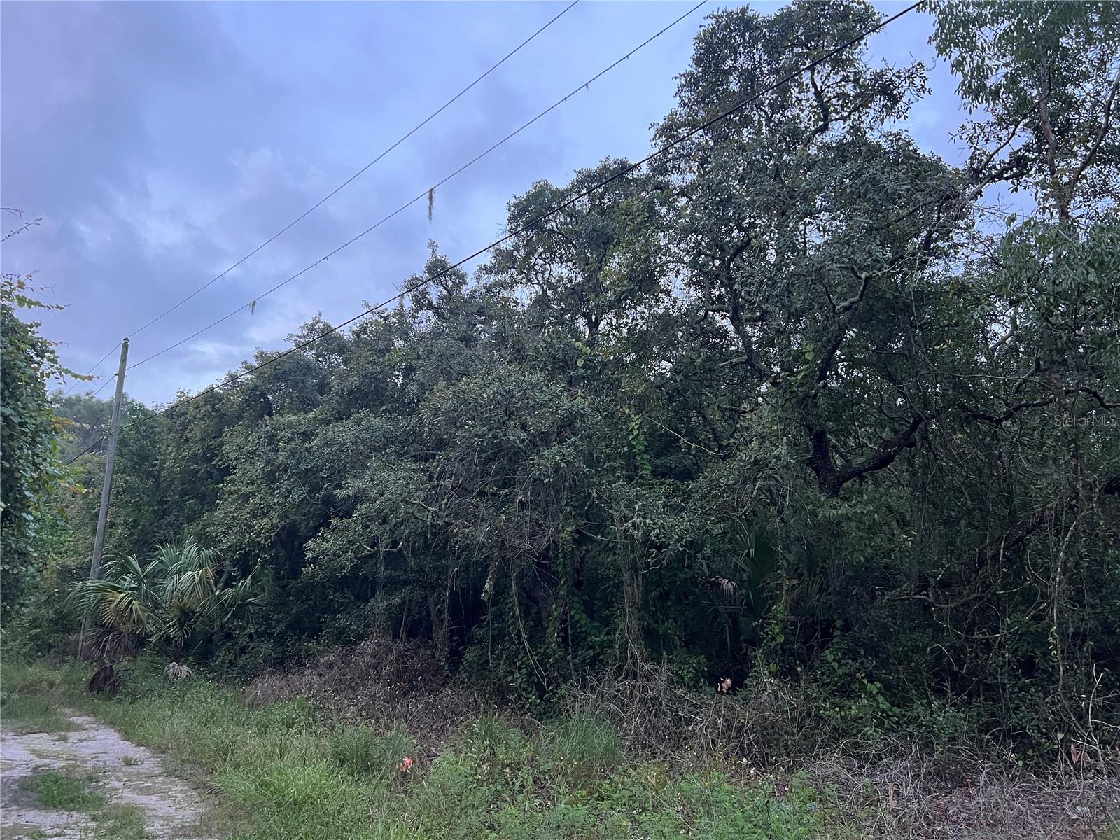 MOON LAKE ESTATES - Land