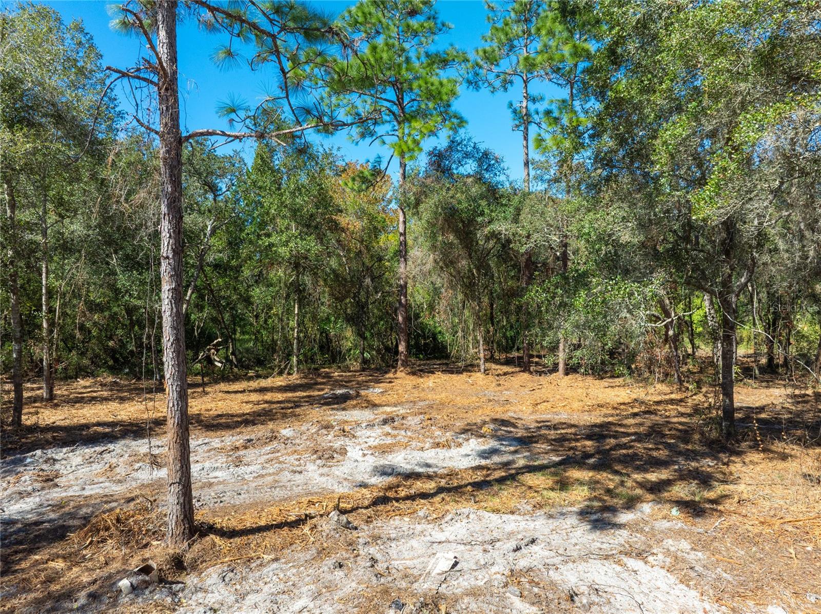 MOON LAKE ESTATES - Land