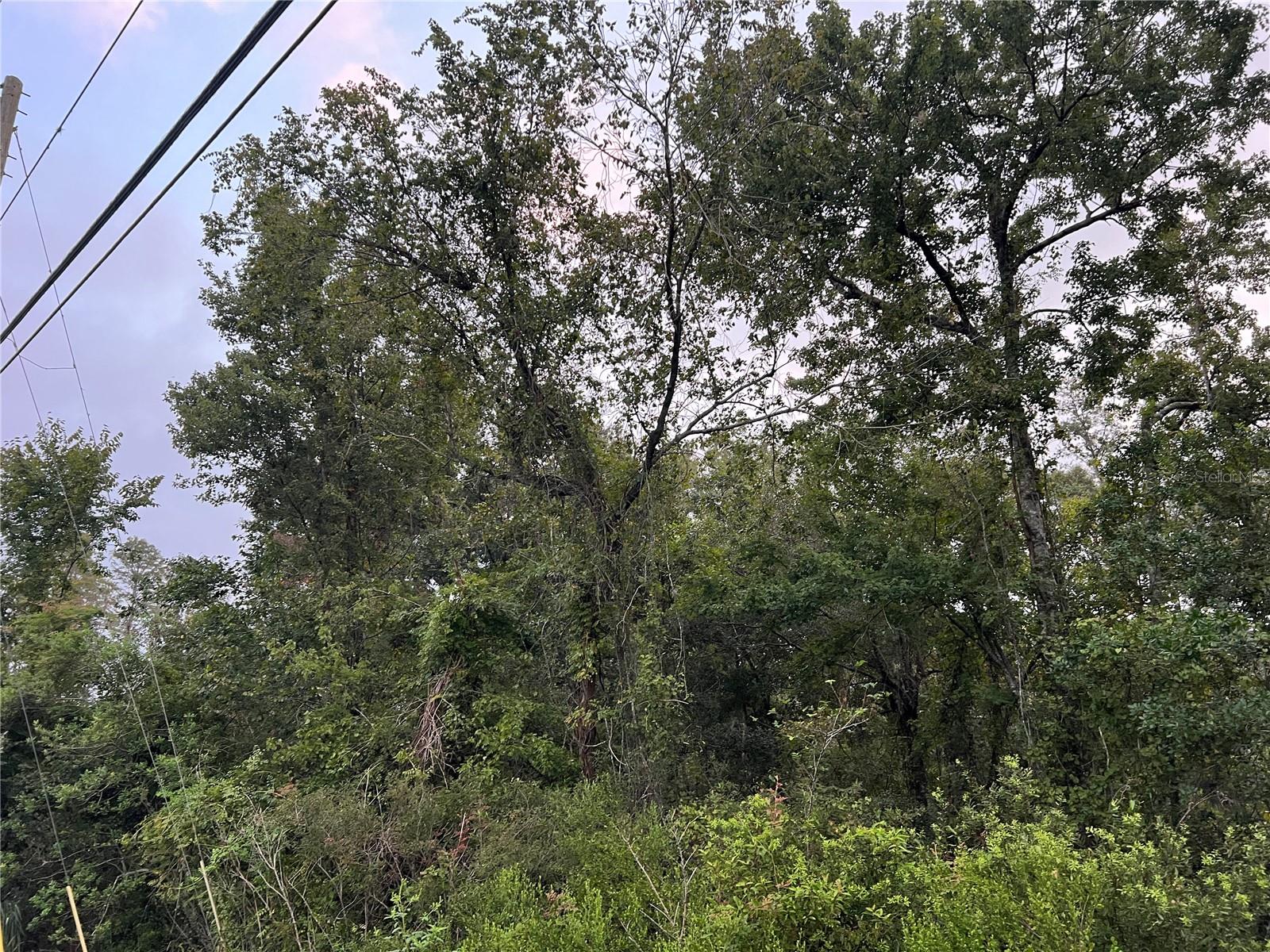 MOON LAKE ESTATES - Land