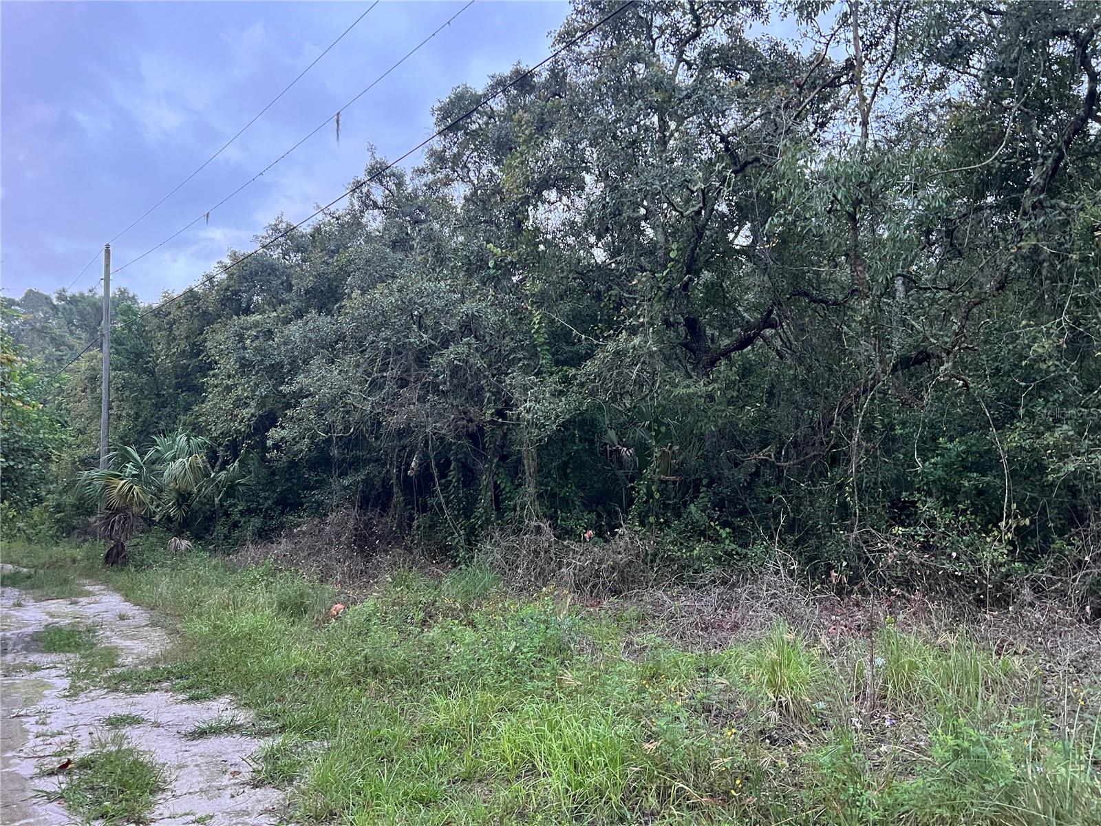 MOON LAKE ESTATES - Land