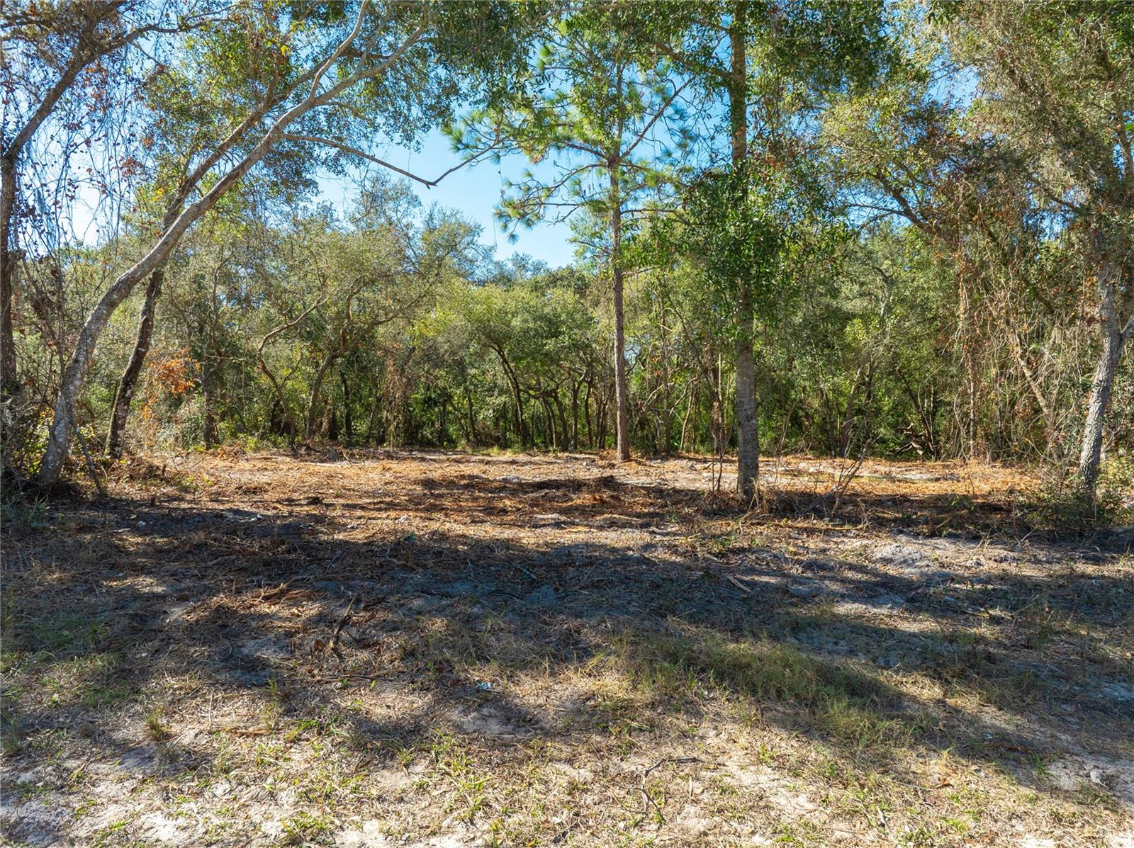 MOON LAKE ESTATES - Land