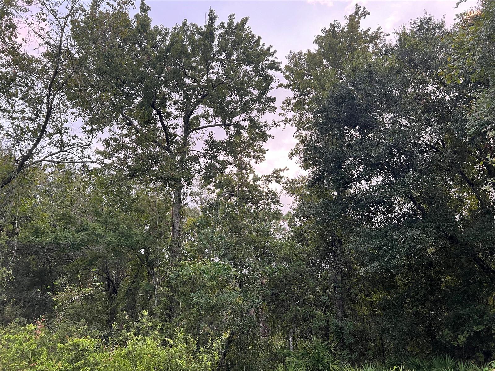 MOON LAKE ESTATES - Land