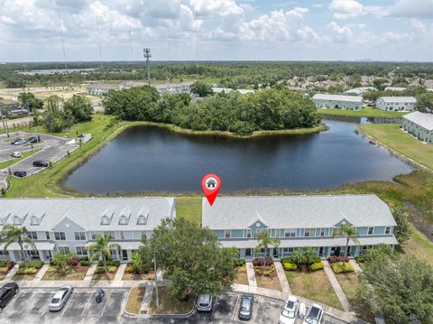 11617 COLONY LAKE DRIVE TAMPA FL 33635