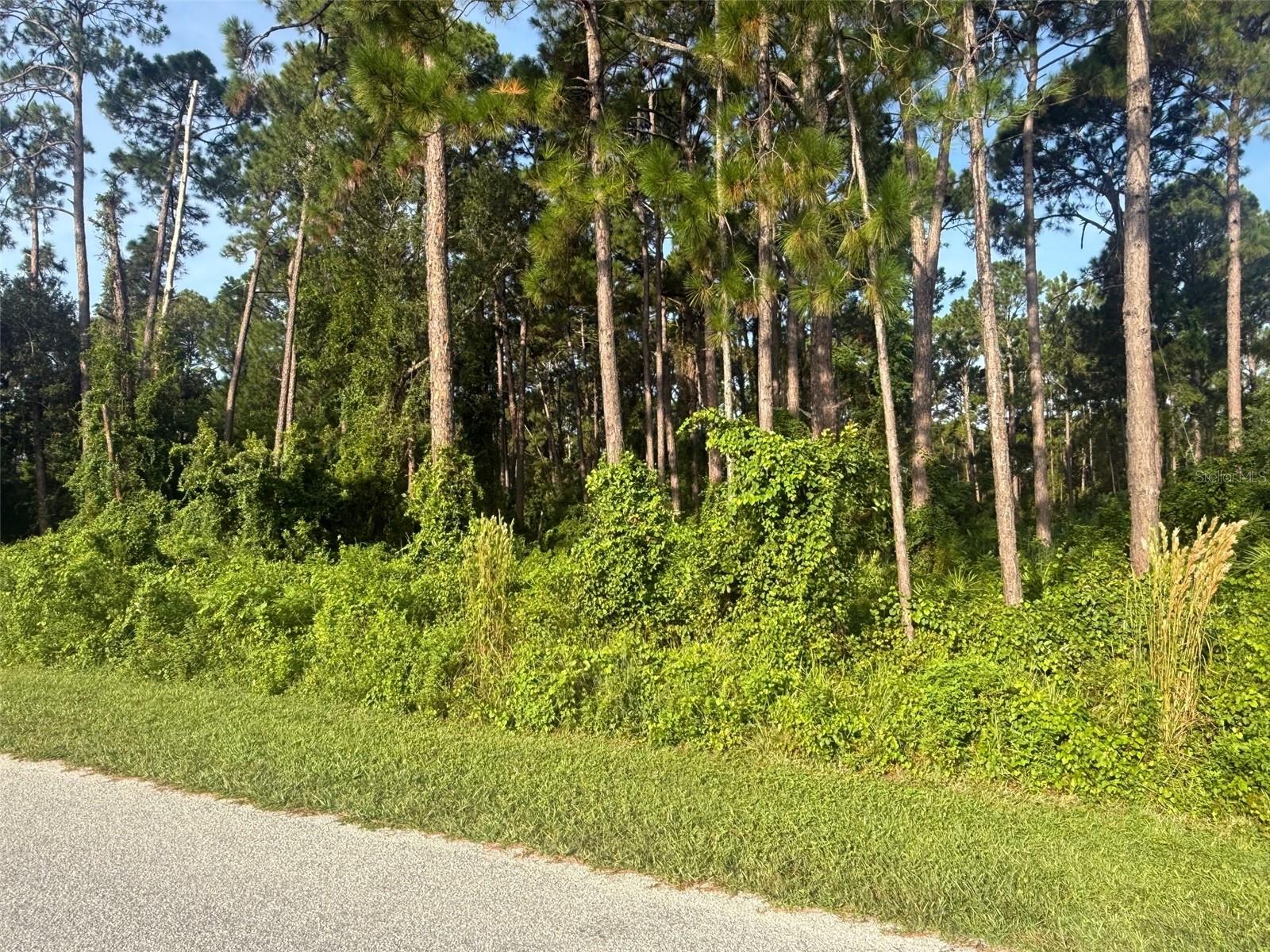 ST JOHNS RIVER ESTATES UNIT 01 - Land