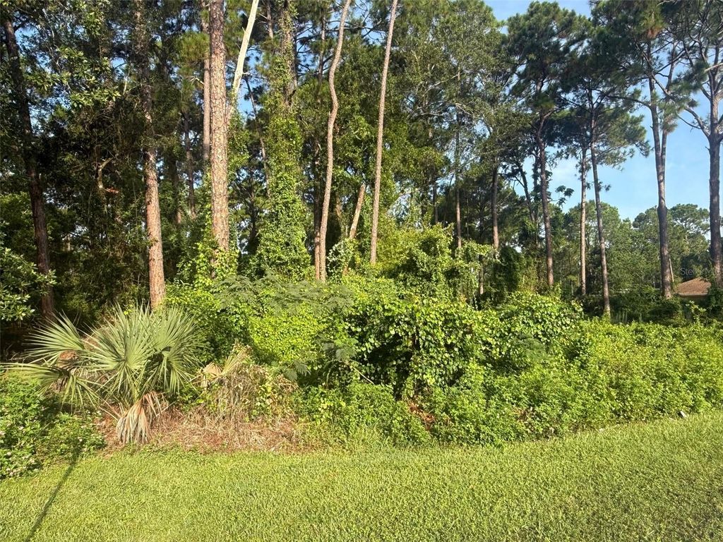 Photo of 40 Dial Avenue, Debary, FL 32713 (MLS # V4944810)