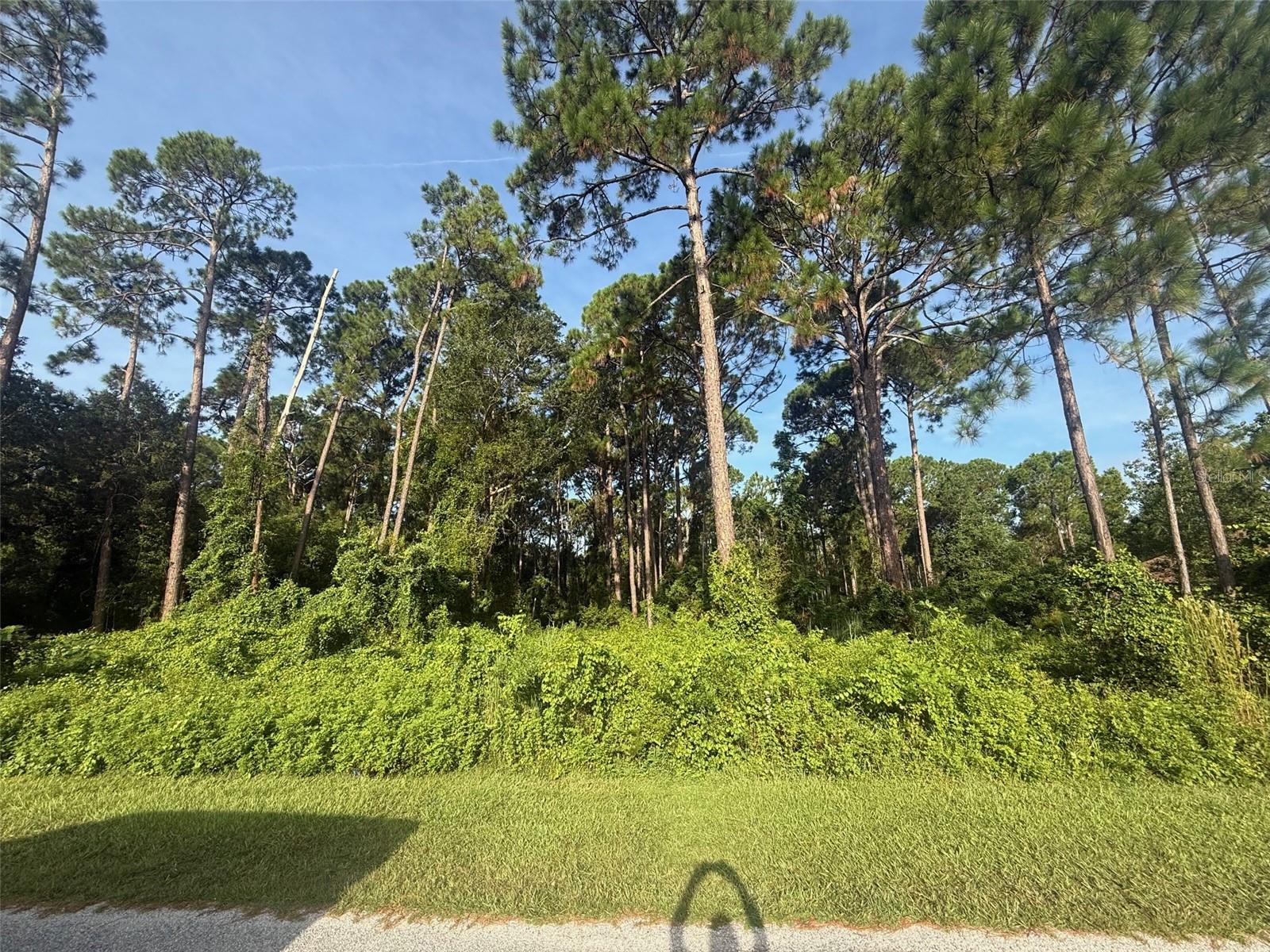 ST JOHNS RIVER ESTATES UNIT 01 - Land
