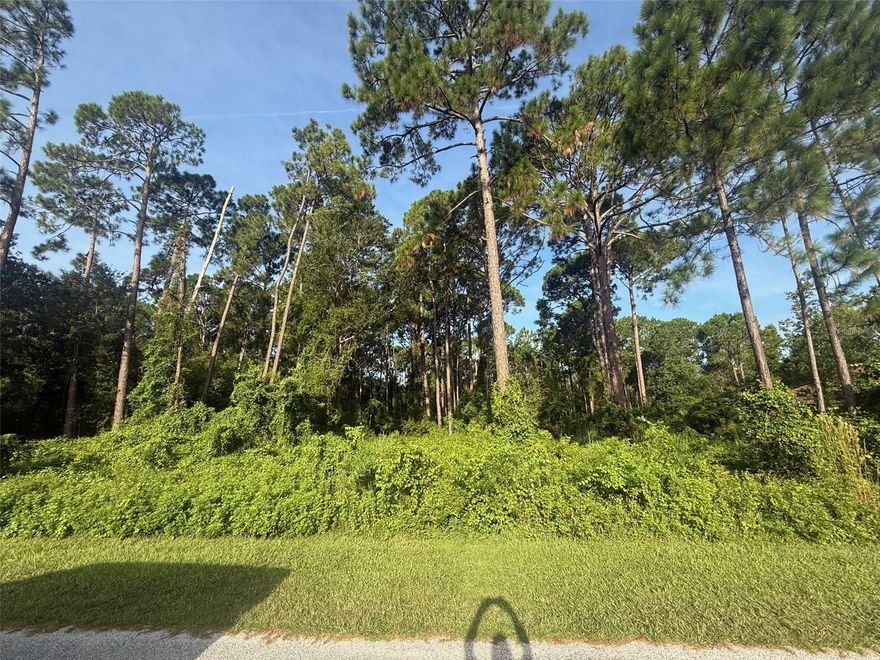 Discover the perfect place to build your dream home on this beautiful half-acre lot in the sought-after community of St. John’s Woods in DeBary. Nestled in a peaceful and well-maintained neighborhood, this spacious lot offers the ideal blend of privacy and convenience. Enjoy easy access to the St. John’s River boat ramp, located less than a mile away, and dine with a view at the iconic Swamp House Riverfront Grill, known for its stunning sunset views over the water. With quick connections to I-4 and 417, you're just 30 minutes from Florida’s world-famous beachesand the excitement of Orlando. Don’t miss out on this incredible opportunity to create the lifestyle you’ve always wanted in one of Central Florida’s hidden gems.