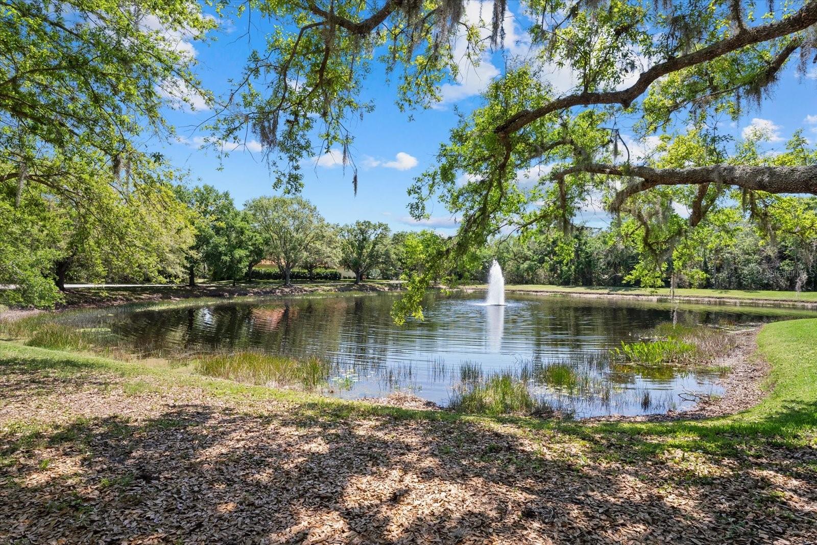 GREYHAWK LANDING PH 3 - Residential