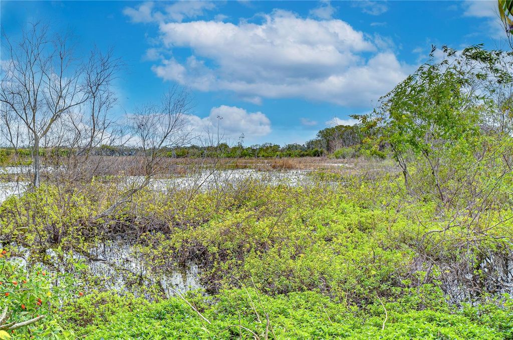 Photo of 22926 Sonoma Lane, Lutz, FL 33549 (MLS # TB8332429)