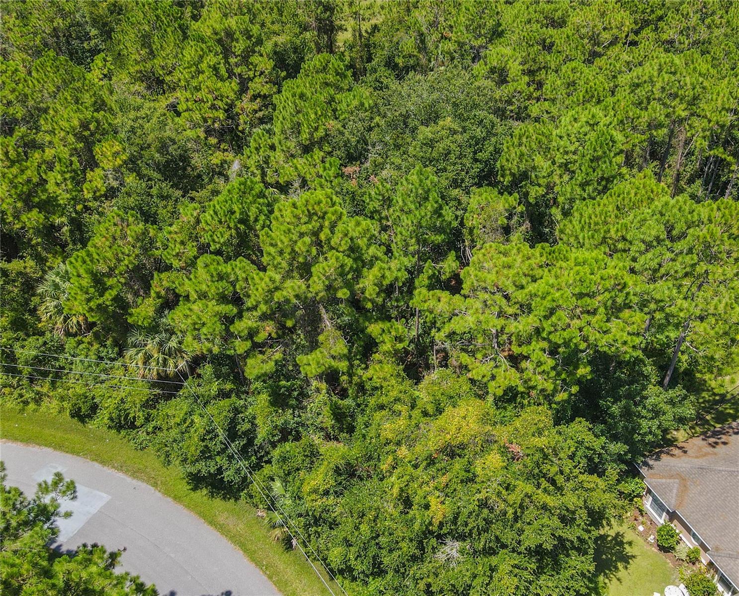 FOREST GROVE BUS CENTER - Land