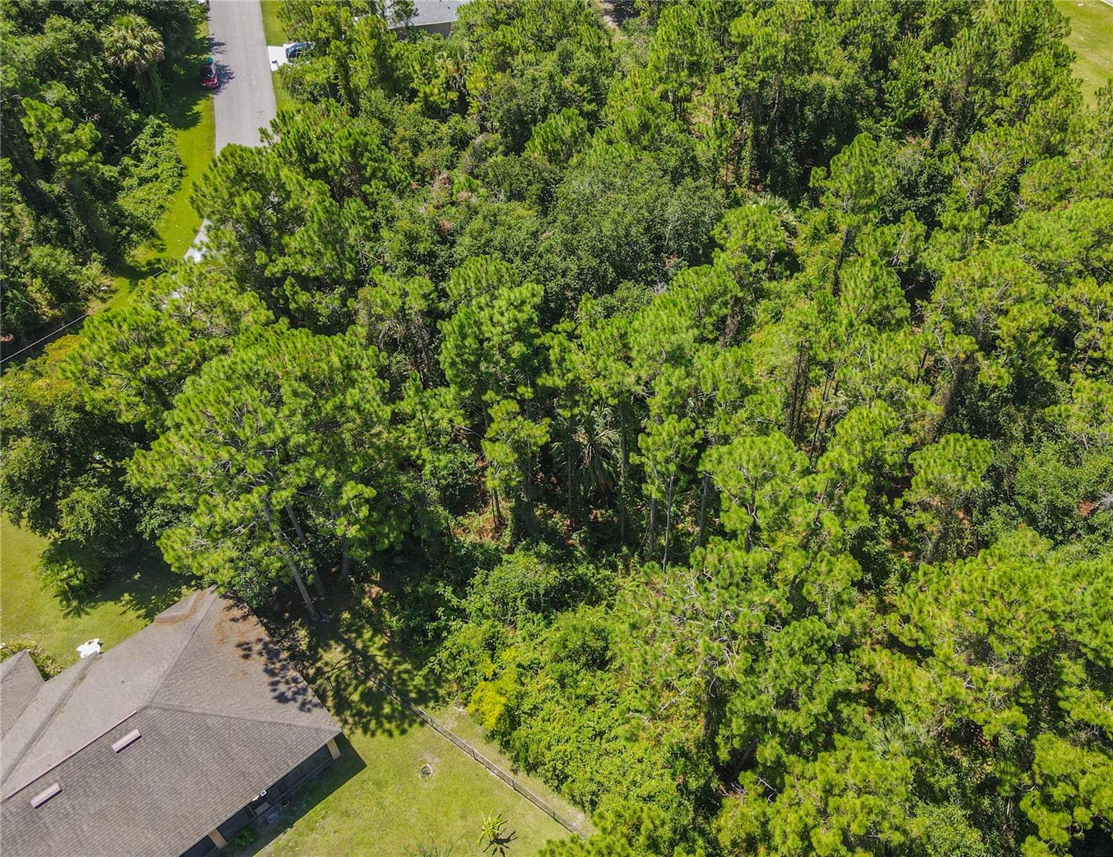 FOREST GROVE BUS CENTER - Land
