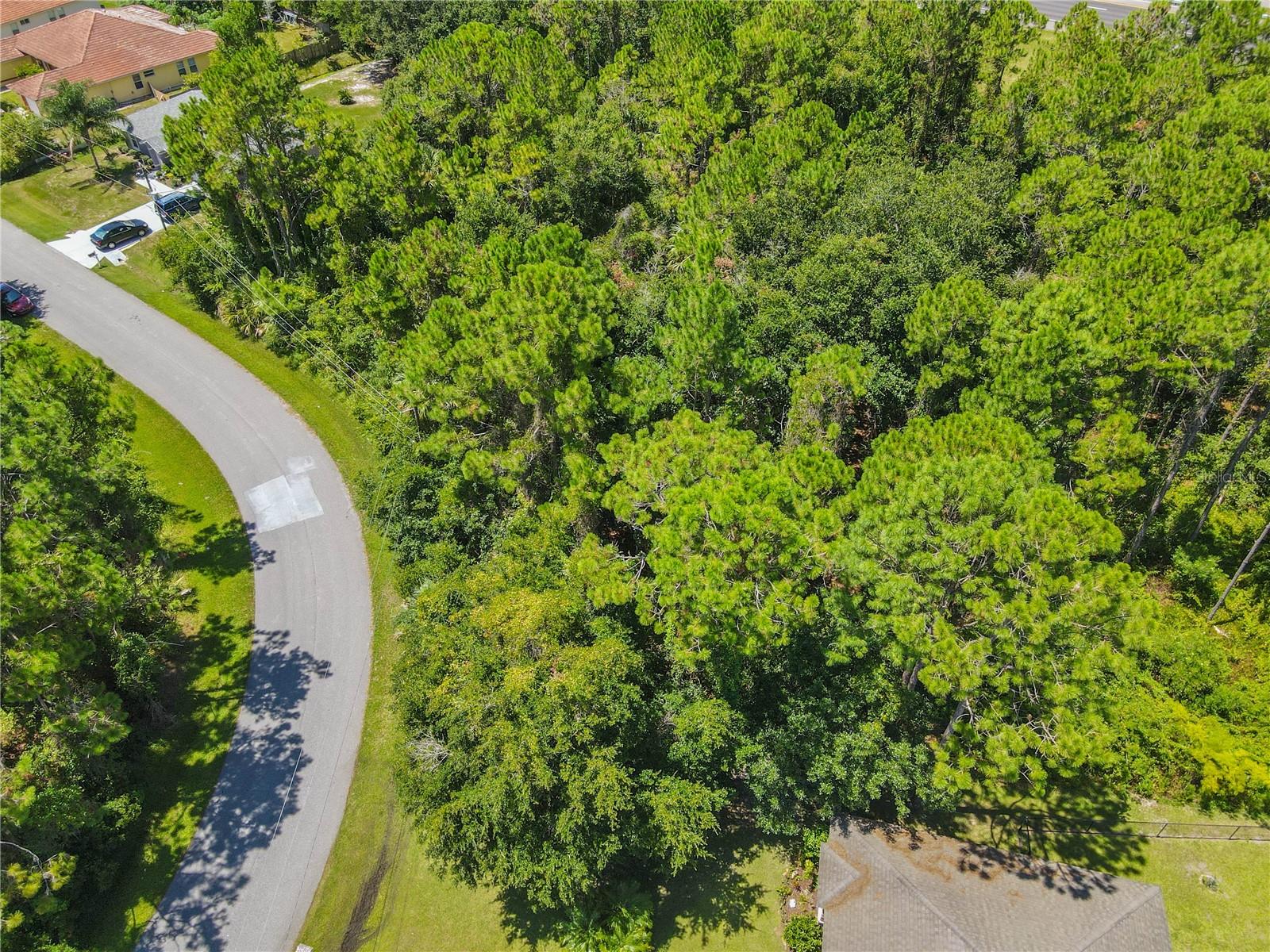 FOREST GROVE BUS CENTER - Land