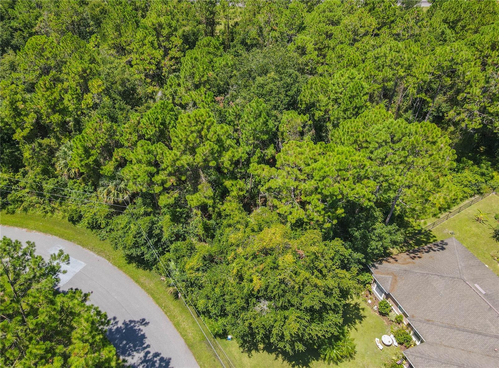 FOREST GROVE BUS CENTER - Land