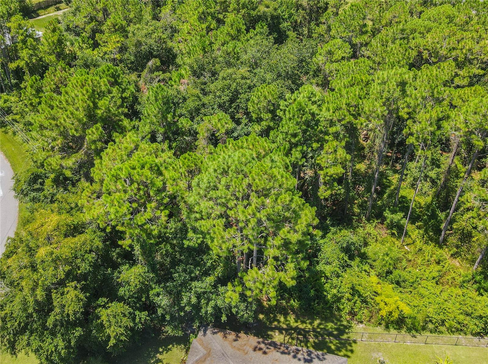 FOREST GROVE BUS CENTER - Land