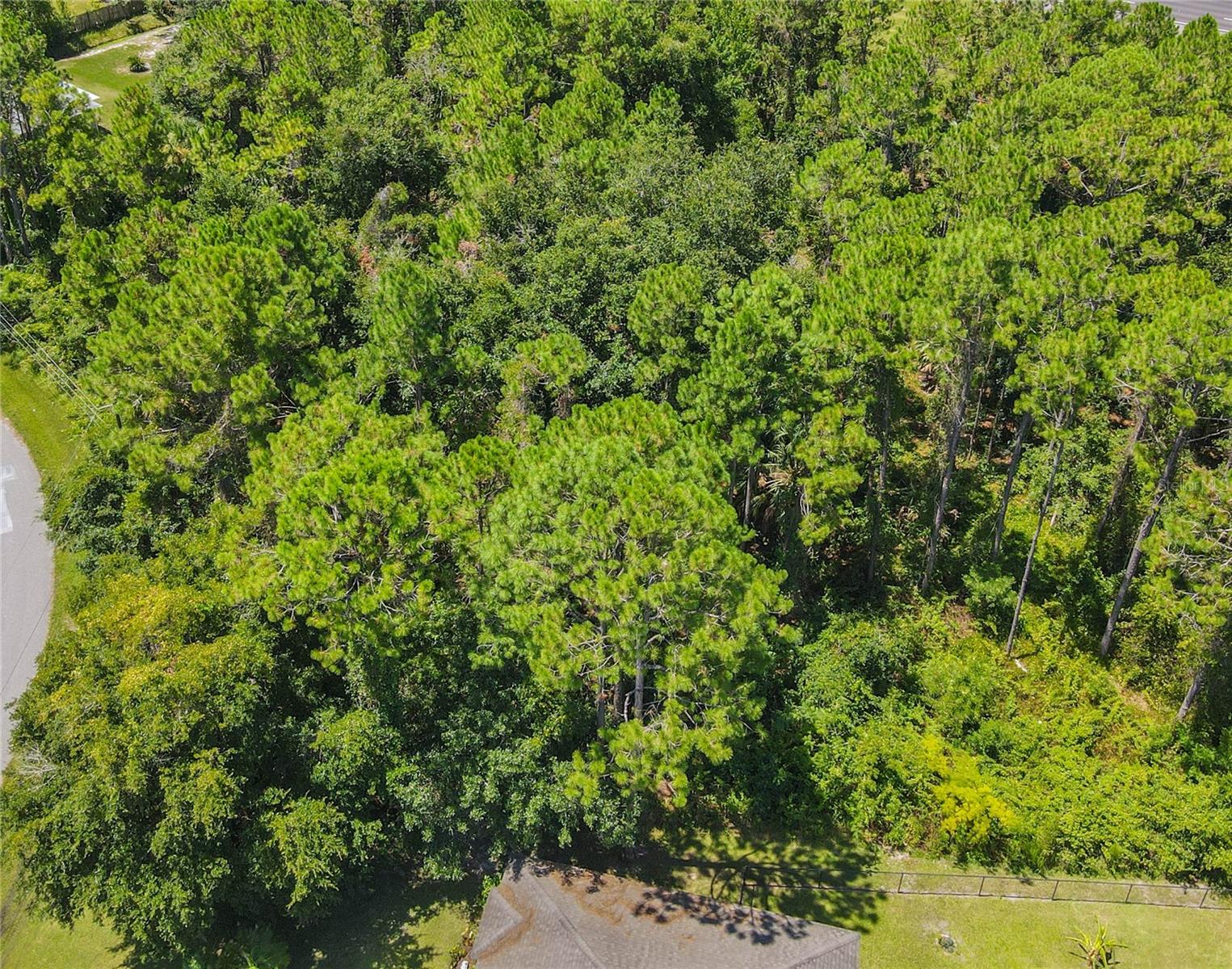 FOREST GROVE BUS CENTER - Land