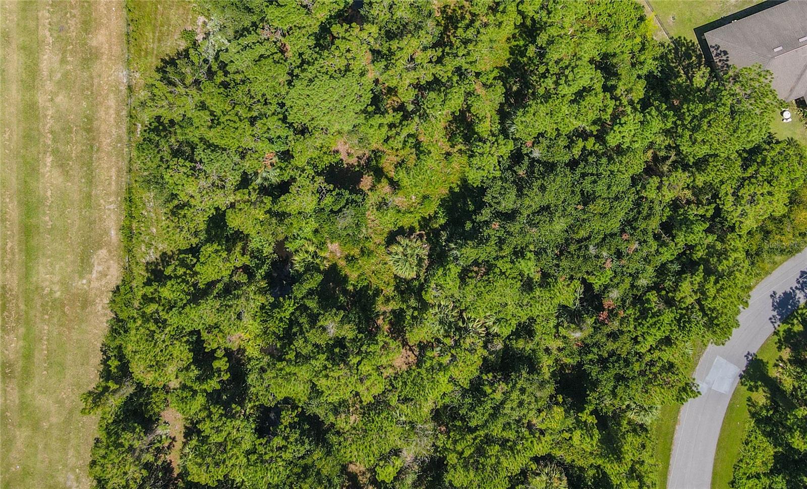 FOREST GROVE BUS CENTER - Land