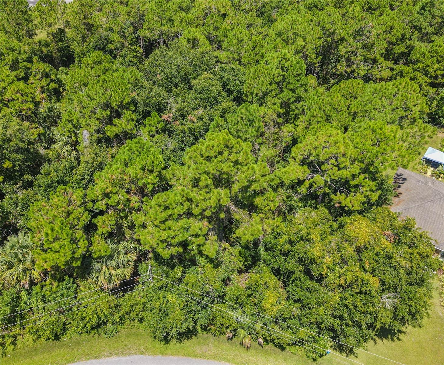 FOREST GROVE BUS CENTER - Land