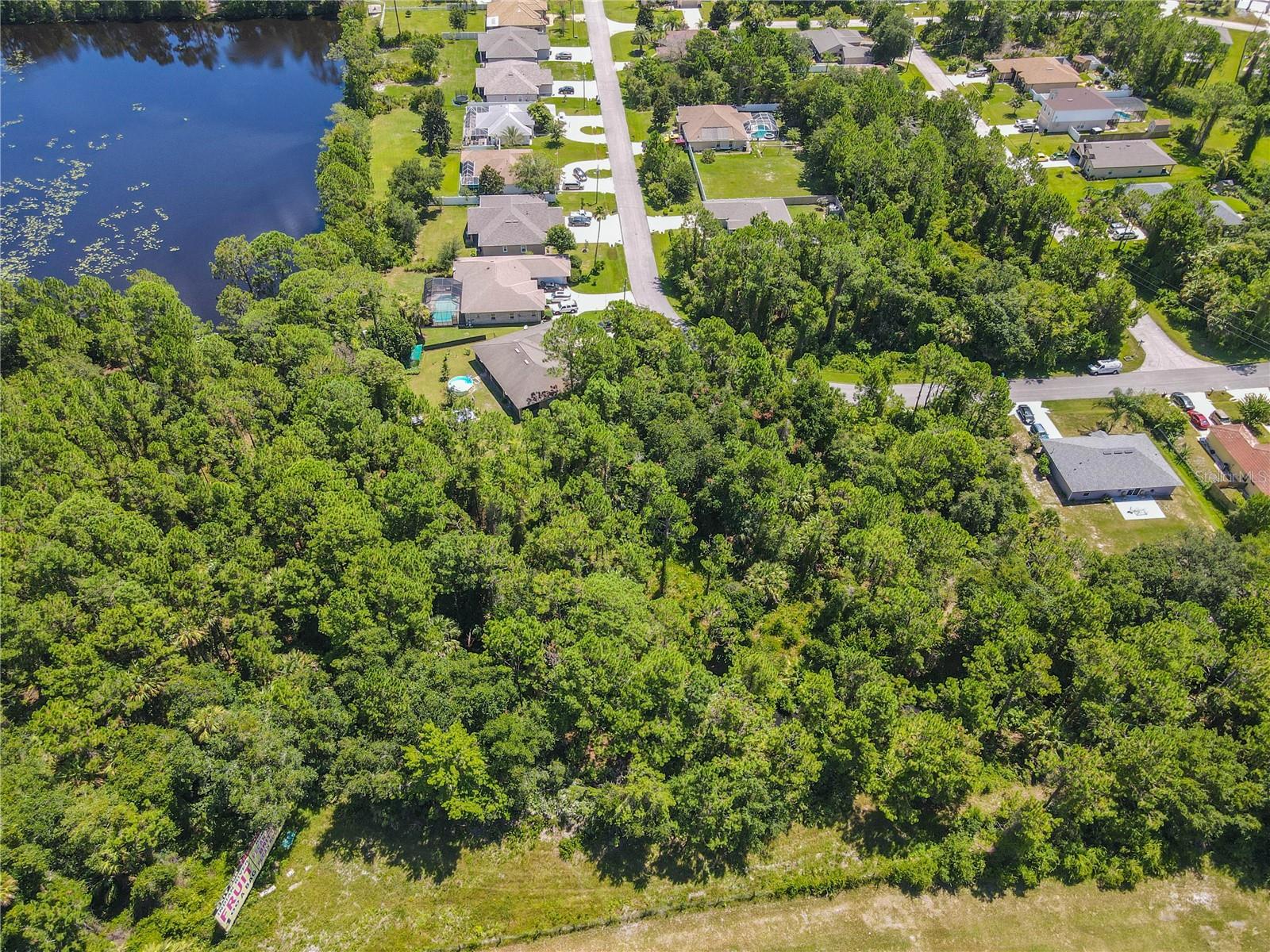 FOREST GROVE BUS CENTER - Land