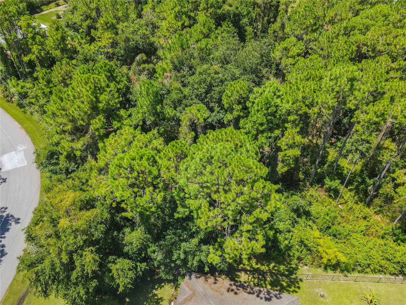 FOREST GROVE BUS CENTER - Land