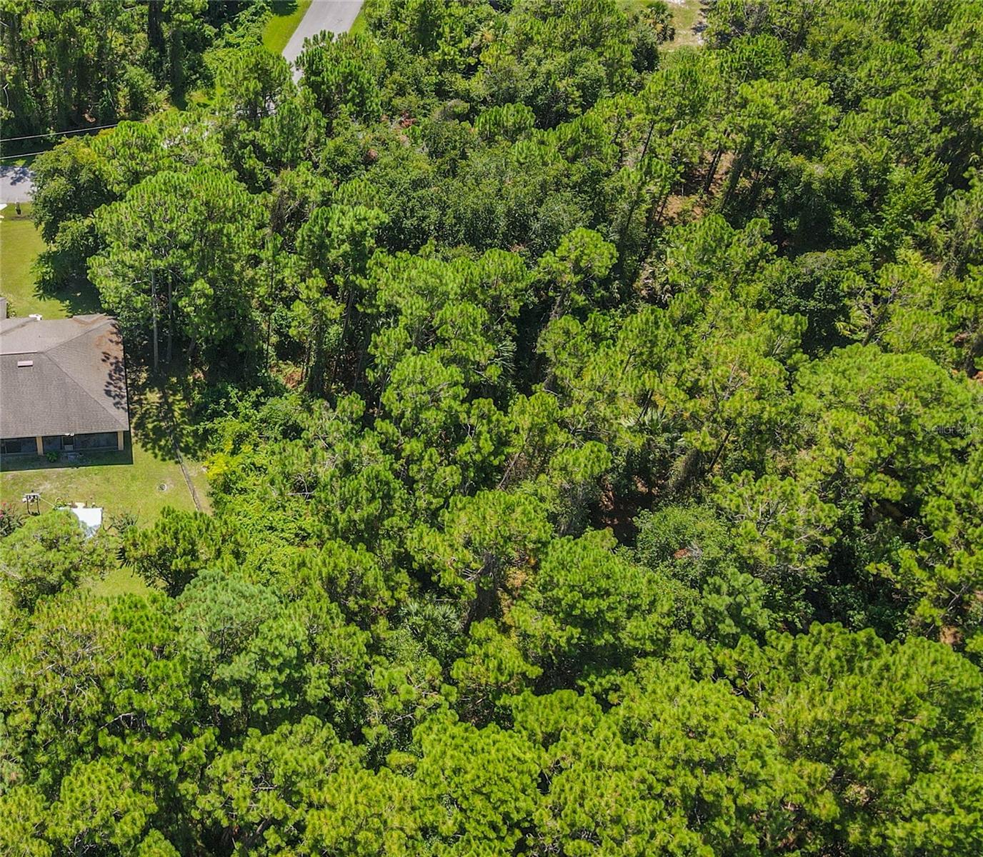 FOREST GROVE BUS CENTER - Land