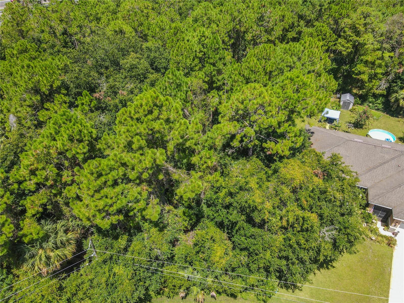 FOREST GROVE BUS CENTER - Land