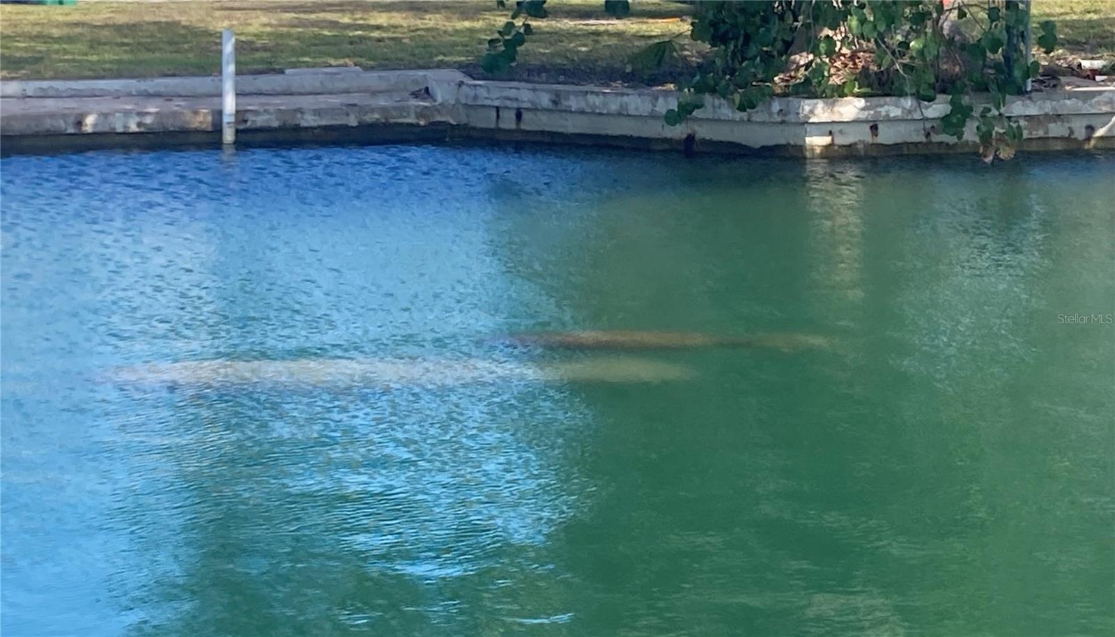 CHADWICK RESUB - Residential