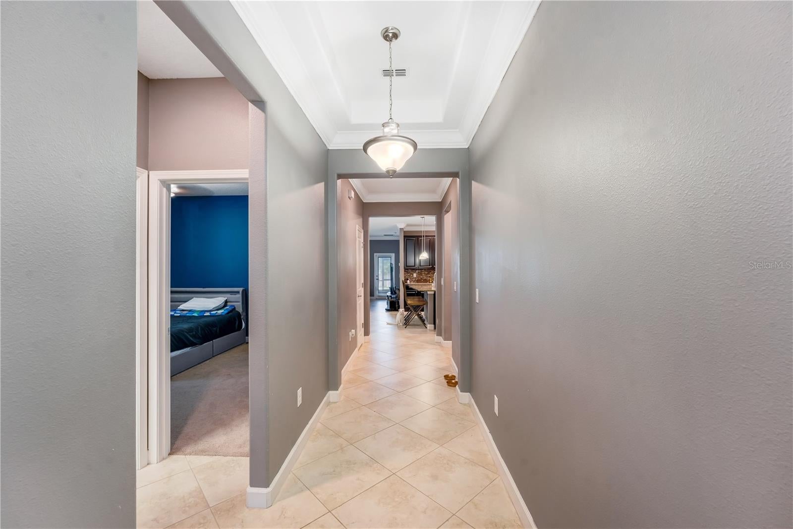 13156 GREEN VIOLET DRIVE, RIVERVIEW, FL, 33579 3 13156 GREEN VIOLET DRIVE