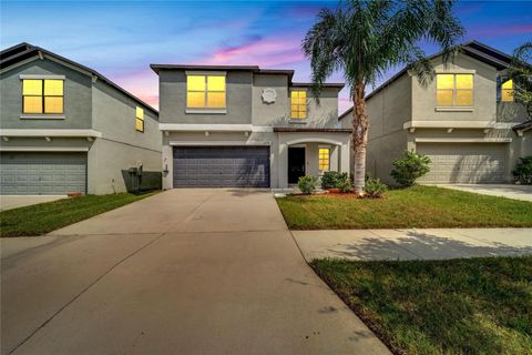 A home in RIVERVIEW