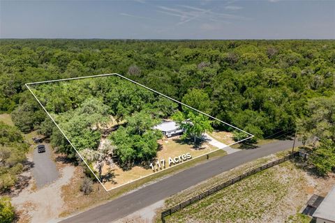 Tiny photo for 4970 N Redwood Avenue, Hernando, FL 34442 (MLS # O6409917)