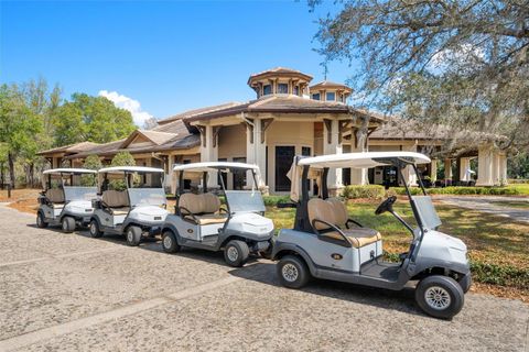 Tiny photo for 31778 Red Tail Boulevard, Sorrento, FL 32776 (MLS # O6391160)