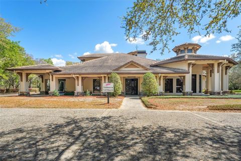 Tiny photo for 31778 Red Tail Boulevard, Sorrento, FL 32776 (MLS # O6391160)