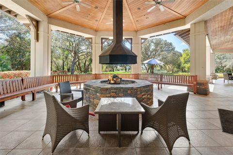 Tiny photo for 31778 Red Tail Boulevard, Sorrento, FL 32776 (MLS # O6391160)