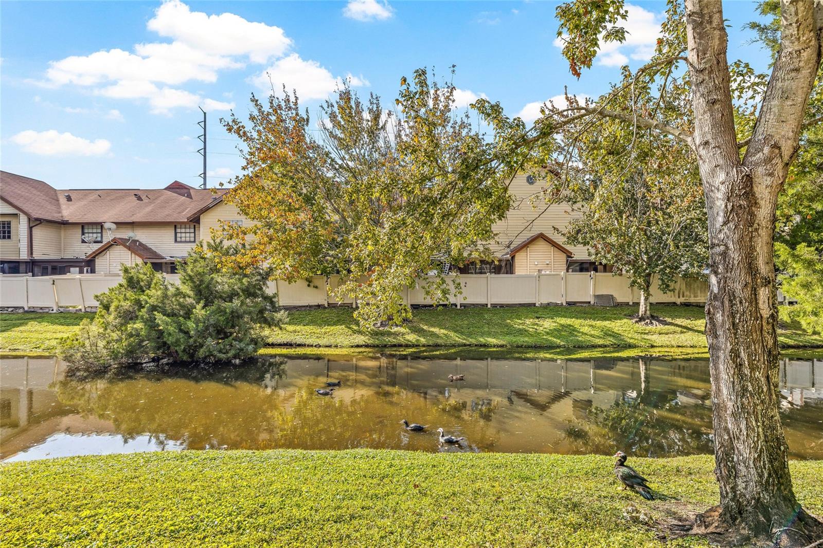 SHELDON CREEK - Residential