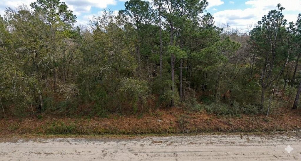 Photo of 10230 Zigler Avenue, Hastings, FL 32145 (MLS # OM719908)