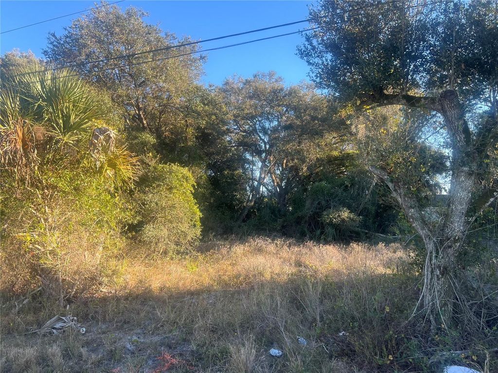 Photo of 2503 54th Street SW, Lehigh Acres, FL 33976 (MLS # A4679871)