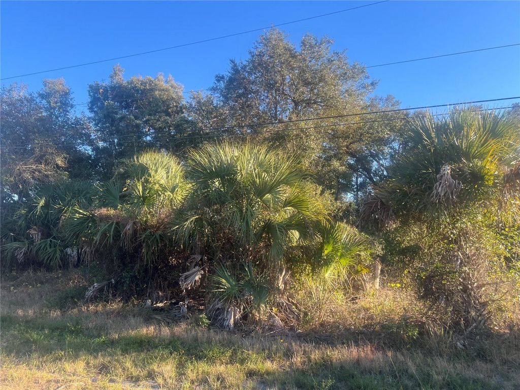 Photo of 2503 54th Street SW, Lehigh Acres, FL 33976 (MLS # A4679871)