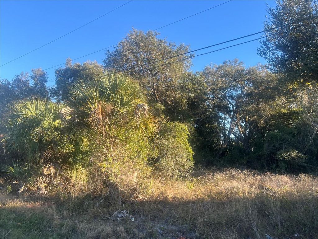 Photo of 2503 54th Street SW, Lehigh Acres, FL 33976 (MLS # A4679871)