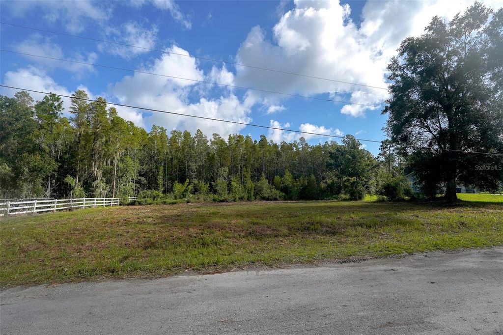 Photo of 26305 Bluestripe Drive, Wesley Chapel, FL 33544 (MLS # TB8413515)