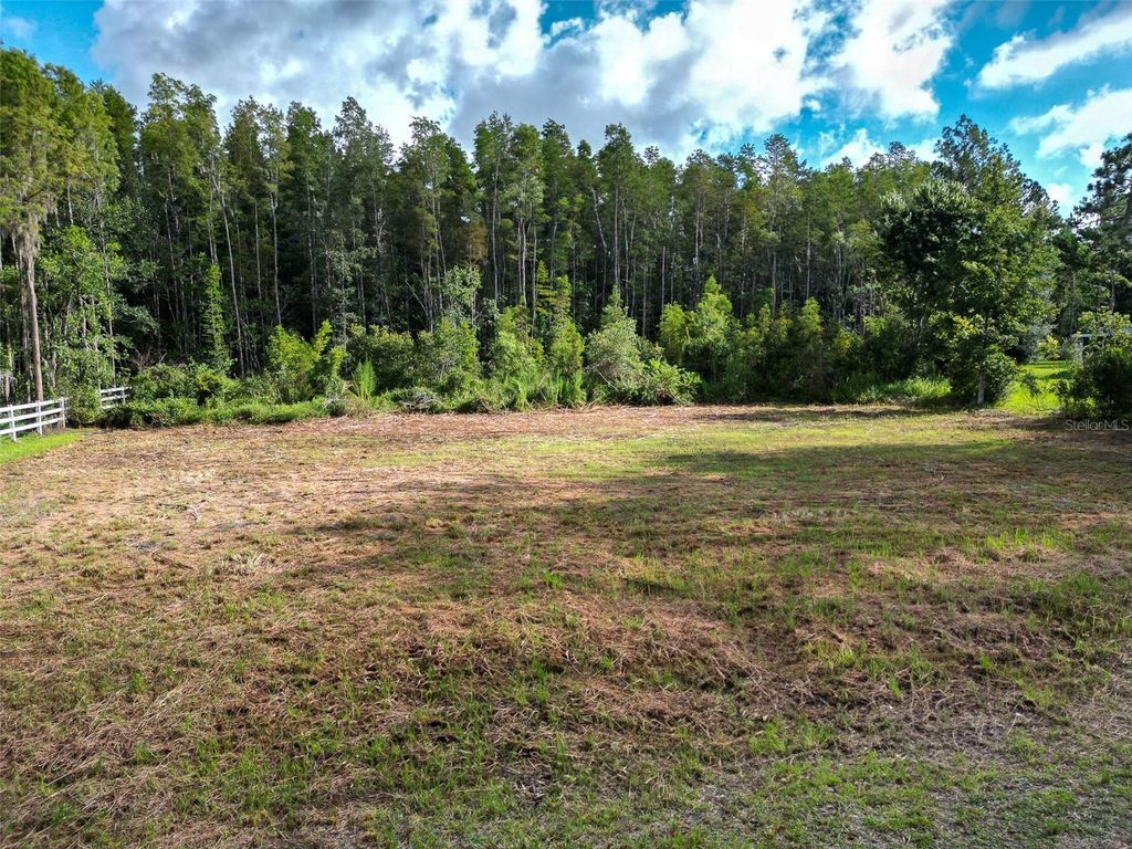 Photo of 26305 Bluestripe Drive, Wesley Chapel, FL 33544 (MLS # TB8413515)
