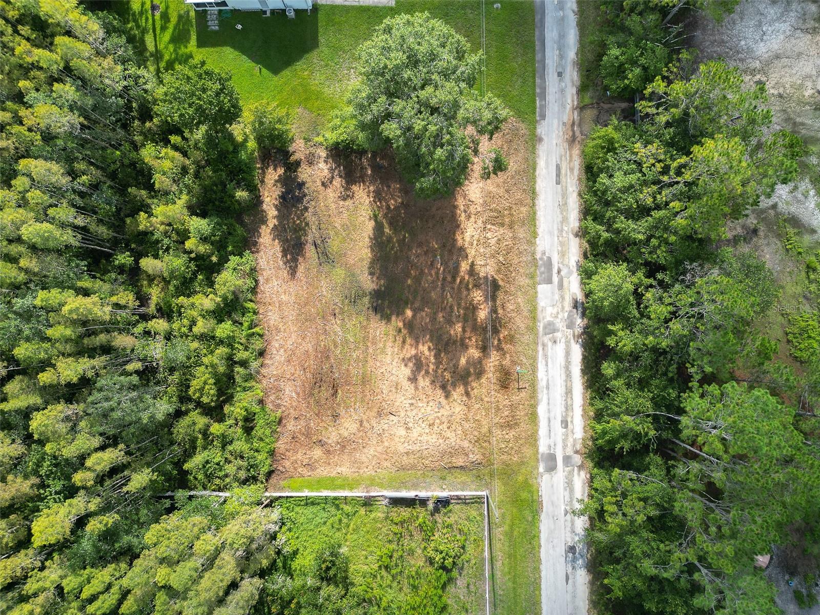 QUAIL HOLLOW PINES - Land