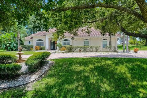 Tiny photo for 16623 Royal Palm Drive, Groveland, FL 34736 (MLS # O6333596)