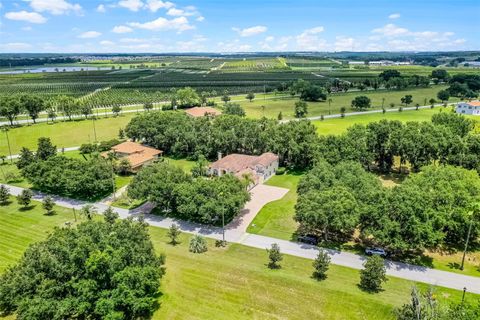 Tiny photo for 16623 Royal Palm Drive, Groveland, FL 34736 (MLS # O6333596)