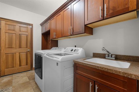 Tiny photo for 16623 Royal Palm Drive, Groveland, FL 34736 (MLS # O6333596)