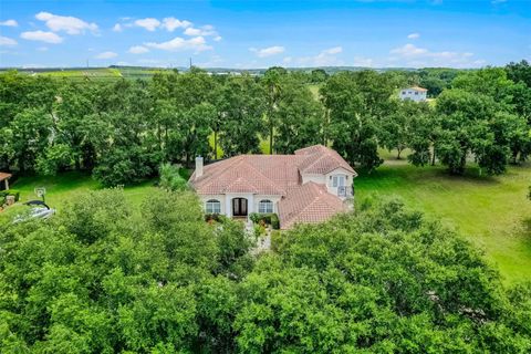 Tiny photo for 16623 Royal Palm Drive, Groveland, FL 34736 (MLS # O6333596)