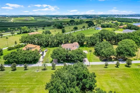 Tiny photo for 16623 Royal Palm Drive, Groveland, FL 34736 (MLS # O6333596)