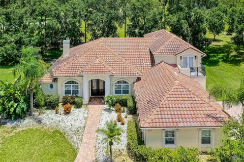 Photo of 16623 Royal Palm Drive, Groveland, FL 34736 (MLS # O6333596)